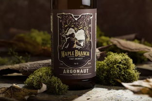 匠心與品味 精品啤酒包裝設(shè)計(jì)與酒類經(jīng)營(yíng)新思維